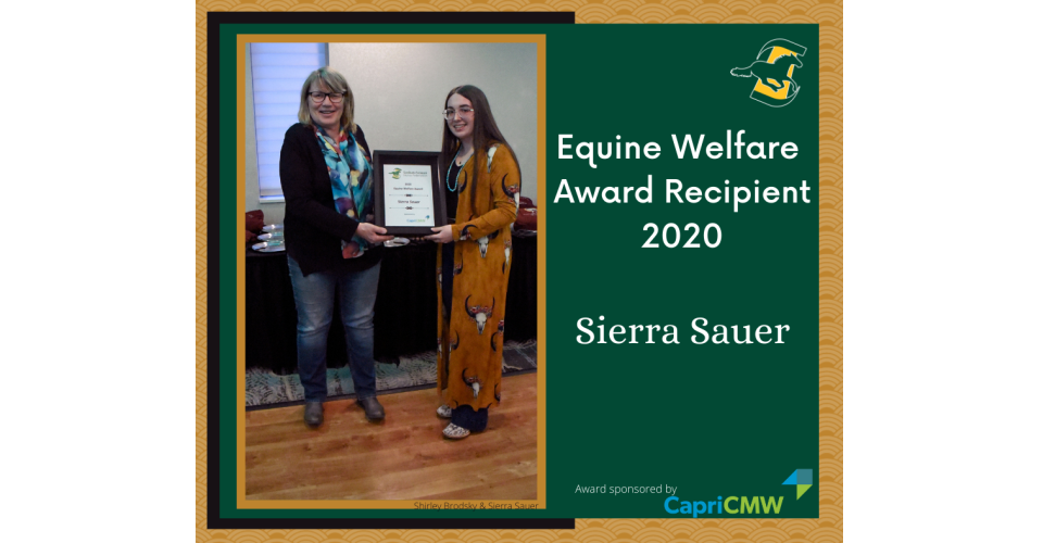 Equine Welfare Award 2020